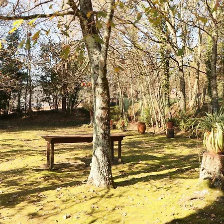 Casa Da Ruina - Lush Garden With Pool Villa