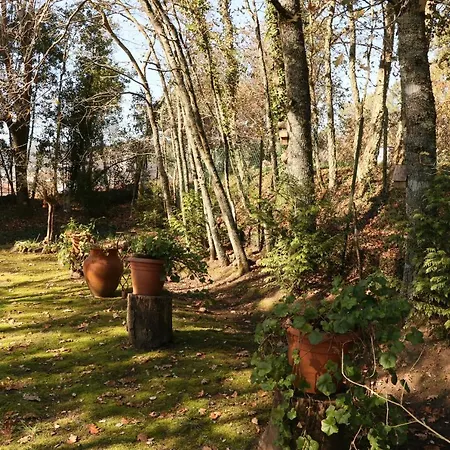 Casa Da Ruina - Lush Garden With Pool Caminha