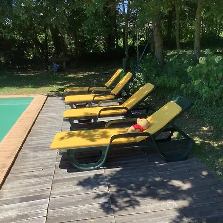 Villa Casa Da Ruina - Lush Garden With Pool Caminha