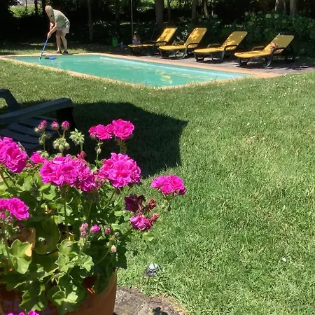 Casa Da Ruina - Lush Garden With Pool