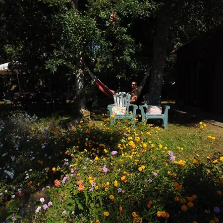 Casa Da Ruina - Lush Garden With Pool Villa