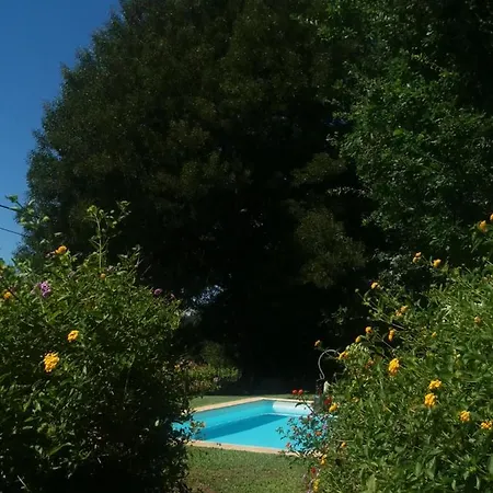 Villa Casa Da Ruina - Lush Garden With Pool *