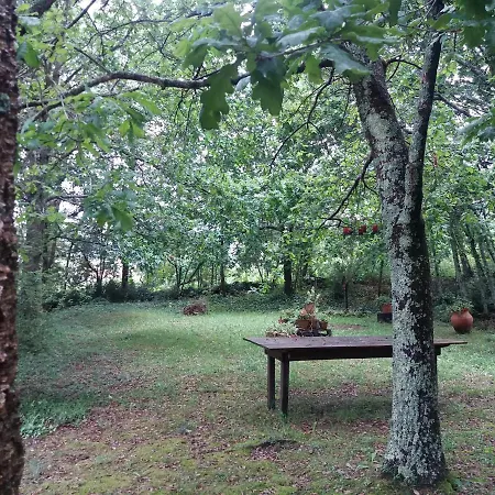 Casa Da Ruina - Lush Garden With Pool Villa *