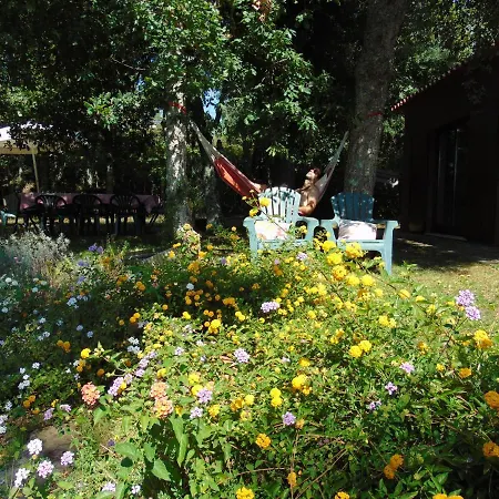 Casa Da Ruina - Lush Garden With Pool *