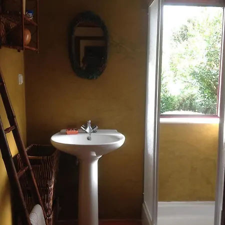 Casa Da Ruina - Lush Garden With Pool